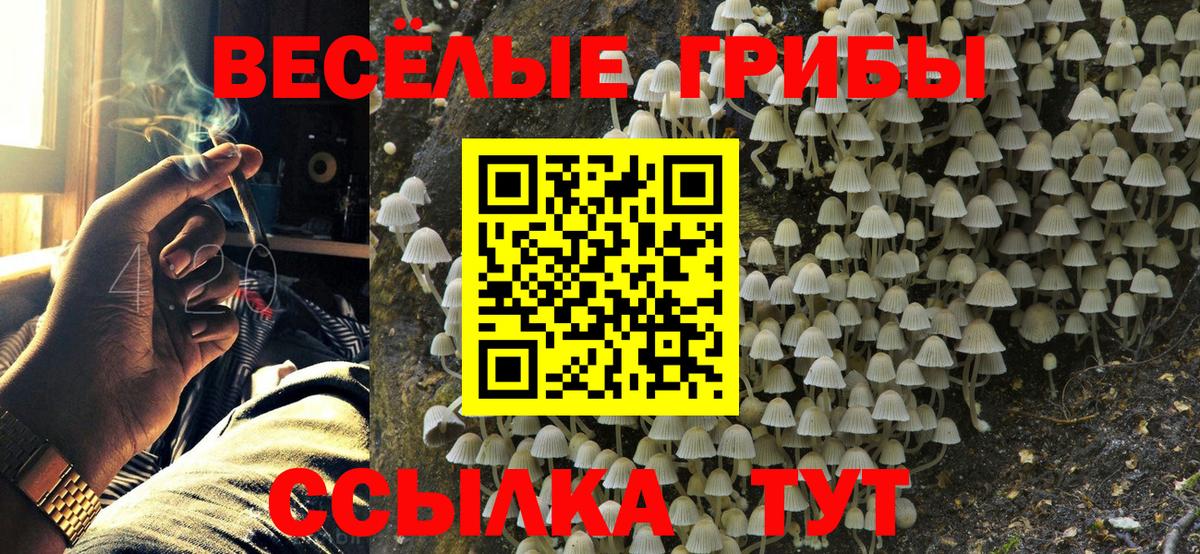Псилоцибиновые грибы Psilocybe  Вход с VPN  Среднеуральск 